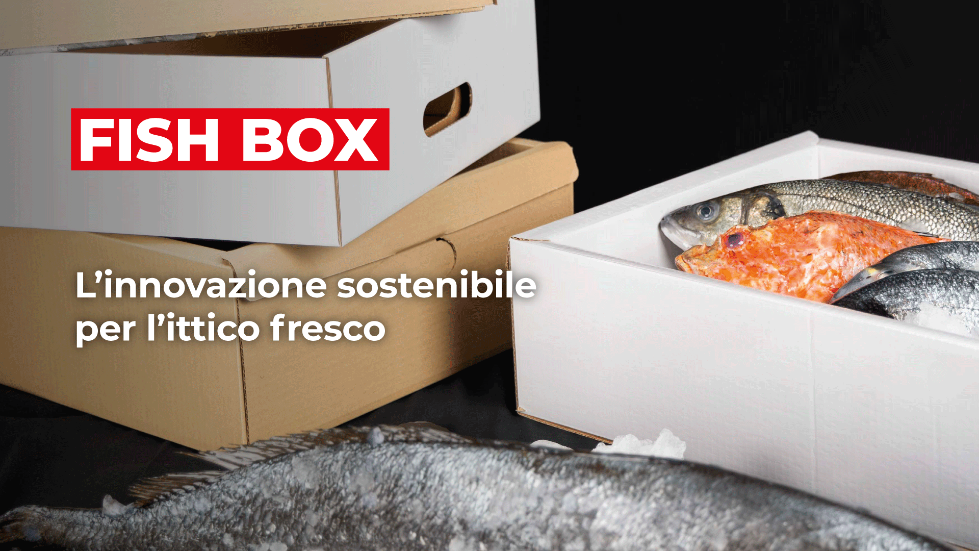 MARR: FISH BOX, l'innovazione sostenibile per l'ittico fresco